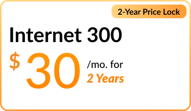 internet300-price-card-border