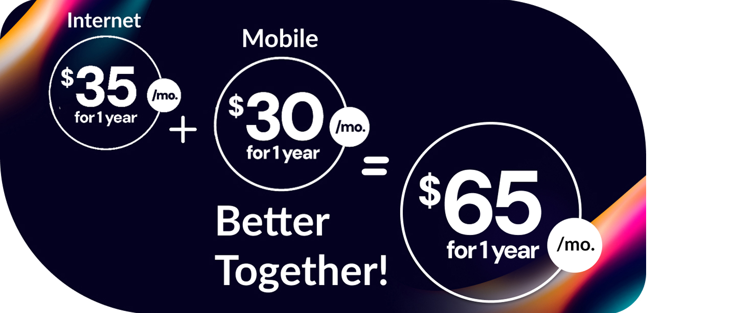 price explainer int-300 25% content